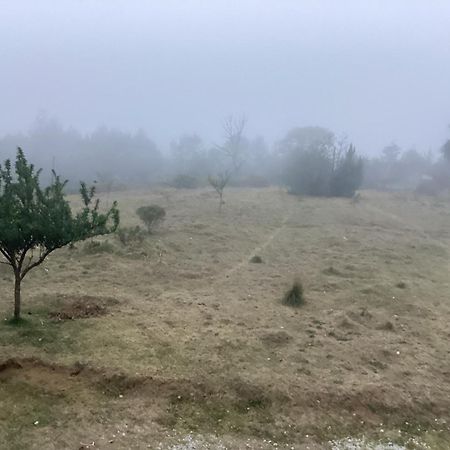 Hotel Las Carretas , Spa Y Temazcal Zacatlán Exteriér fotografie