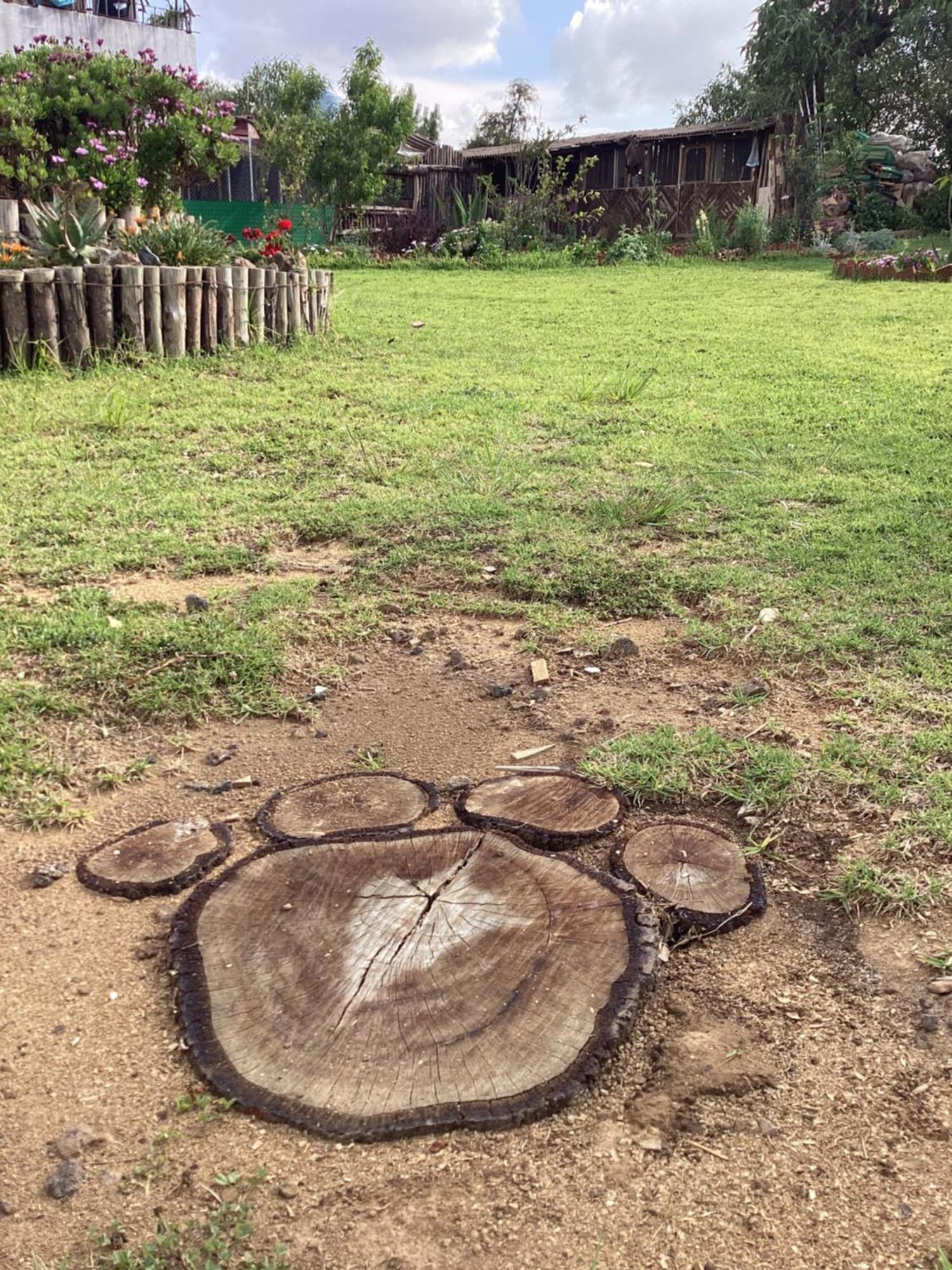 Hotel Las Carretas , Spa Y Temazcal Zacatlán Exteriér fotografie