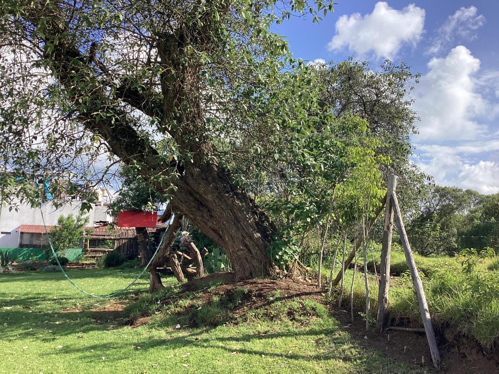 Hotel Las Carretas , Spa Y Temazcal Zacatlán Exteriér fotografie