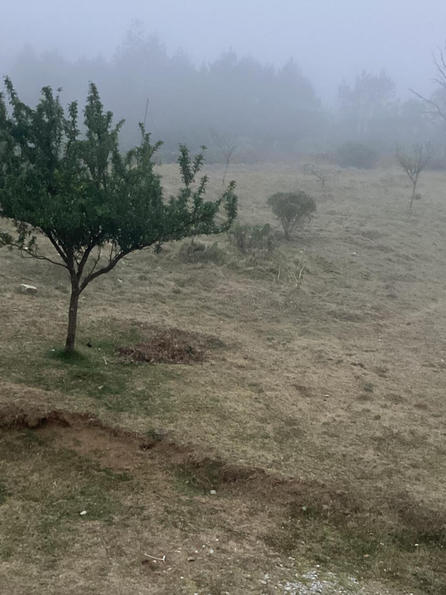 Hotel Las Carretas , Spa Y Temazcal Zacatlán Exteriér fotografie